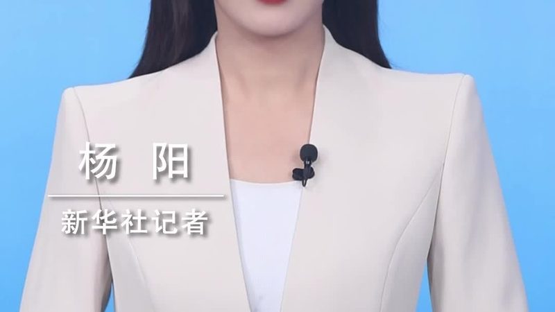 企业级搜索引擎数据库索引：构建高效检索的基石