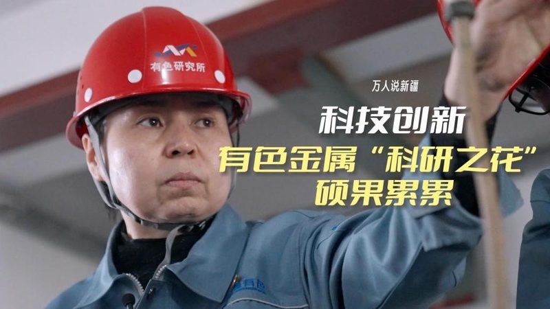 机器学习平台的核心架构与选型逻辑